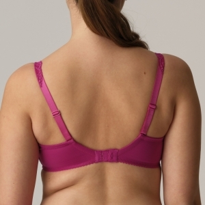 madison fuchsia fiesta