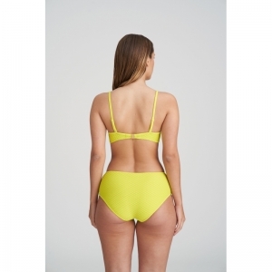 brigitte suncoast