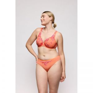 devdaha sunset blush