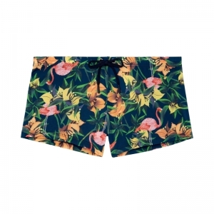 flamingo navy print