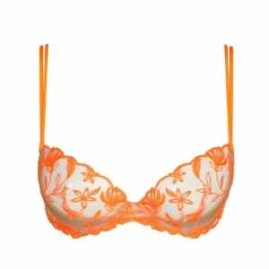 shay orange shock