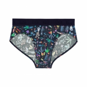 cactée multicolor prin