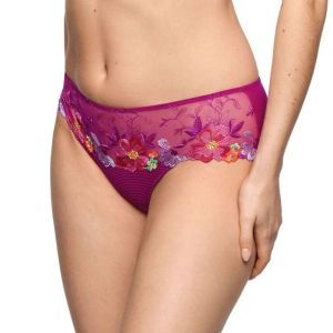odilly wild rose