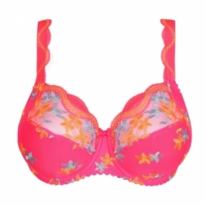 cala luna blogger pink