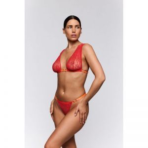 lovelace hibiscus