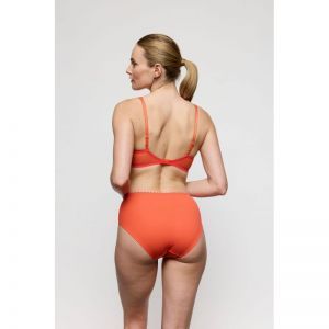 solene pamplem