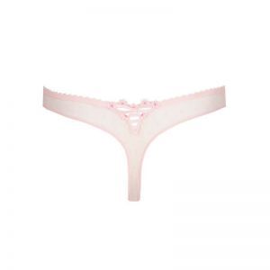 noova gardenia rose