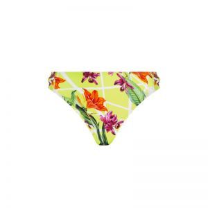fleurs splendeur lime