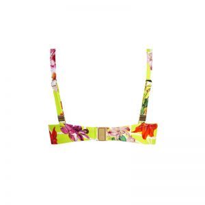 fleurs splendeur lime