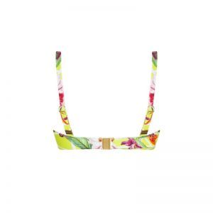 fleurs splendeur lime