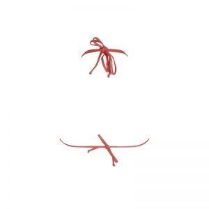 la smartissime corail bronz